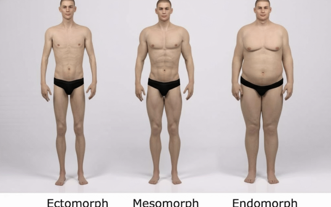 Ectomorphe : entraînement et alimentation pour prendre du muscle