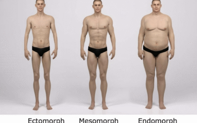 Ectomorphe : entraînement et alimentation pour prendre du muscle